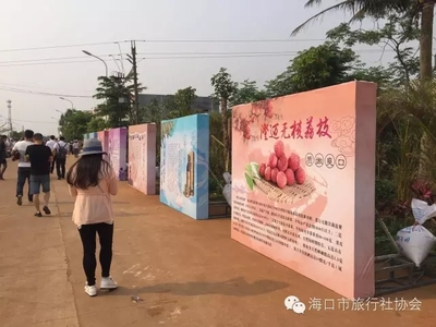 海口市旅行社協(xié)會(huì)組織近30家旅行社走進(jìn)澄邁踩線