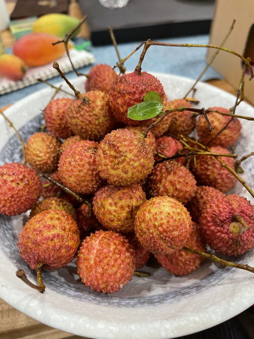 農科生活振興鄉村優品云展系列之廣西玉林桂味荔枝