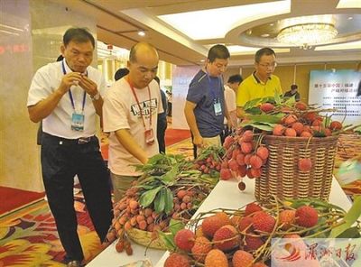 正是荔枝龍眼飄香時 中國(福建)荔枝龍眼產銷對接會在莆舉行